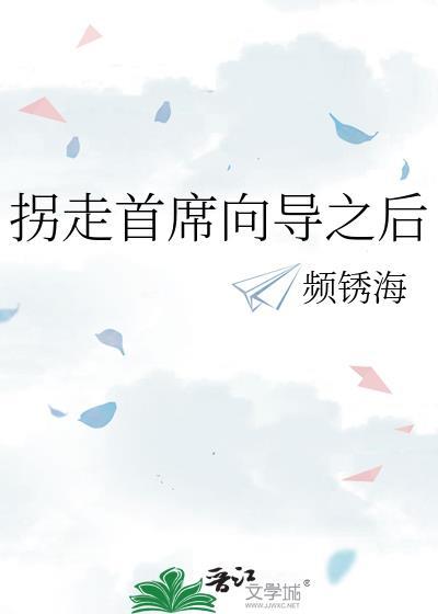 碰瓷首席向导之后