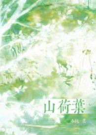 山荷叶合剂可以减肥吗