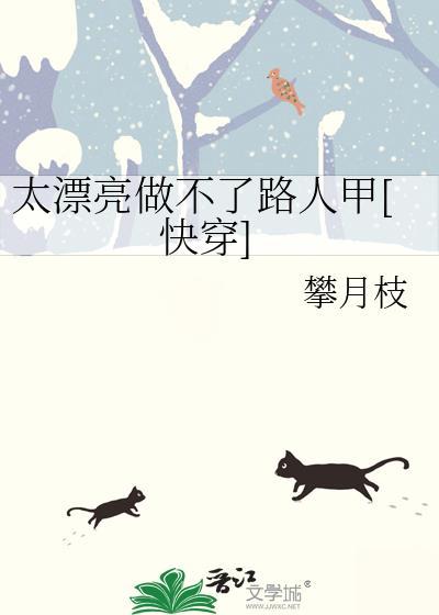 太漂亮的意思