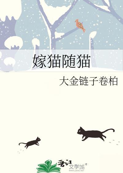 小猫嫁人