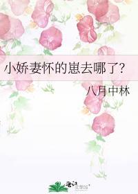 小娇妻好看吗