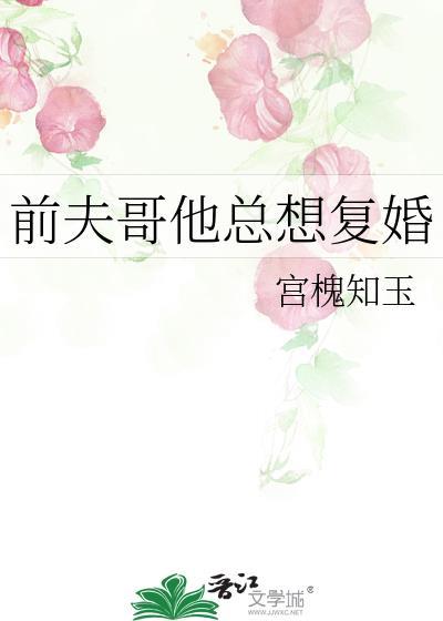 前夫哥他总想复婚txt