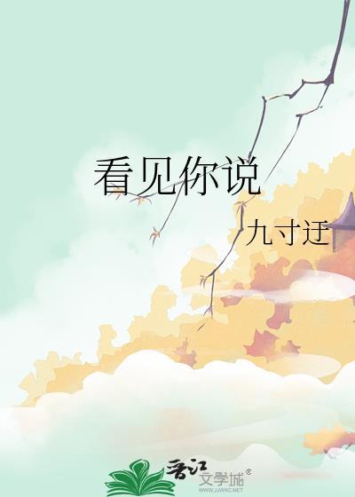 看见你说txt