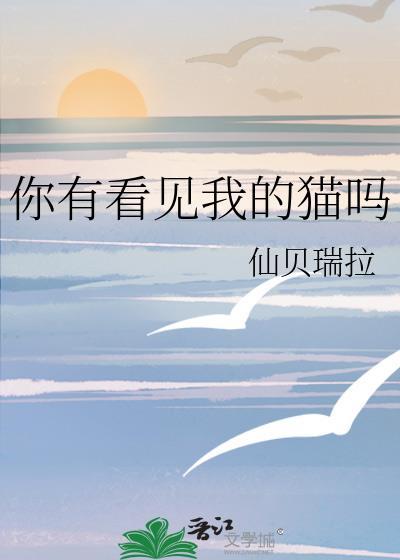 你有看见我的猫吗TXT