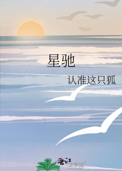 星驰组合重返前十
