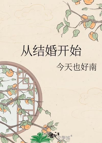 从结婚开始恋爱剧情