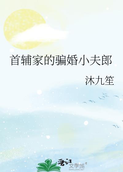 首辅家的骗婚小夫郎by