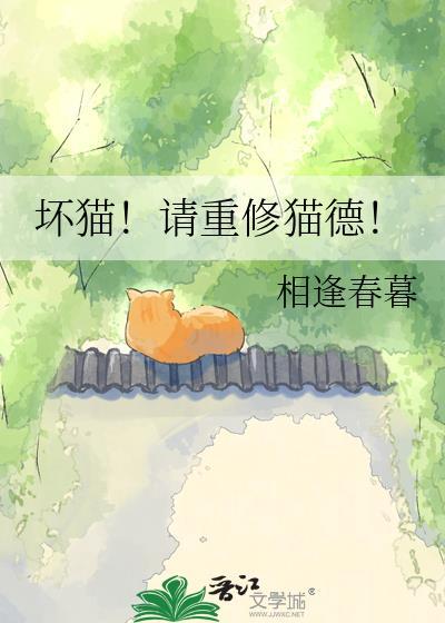坏猫大全免费