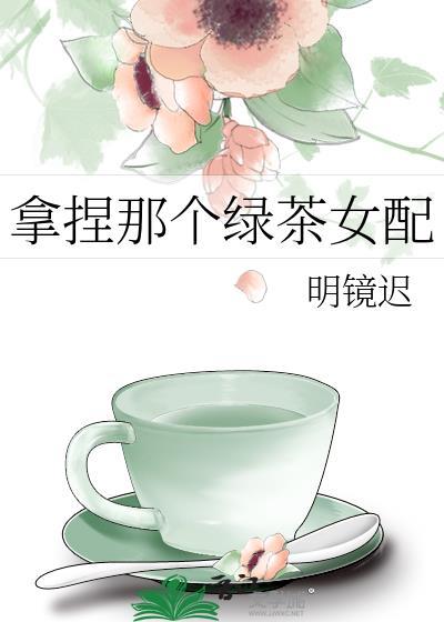拿着绿茶人设和男主he了27