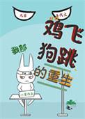 鸡飞狗跳剧情