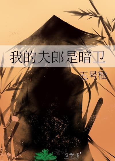 我的夫郎是暗卫在线阅读