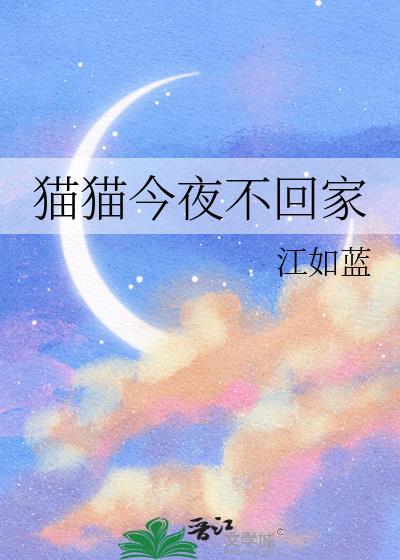 猫晚上没回家