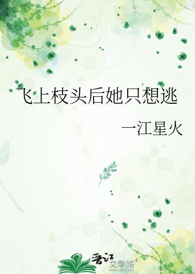 飞上枝头免费阅读