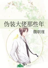 伪装大佬txt