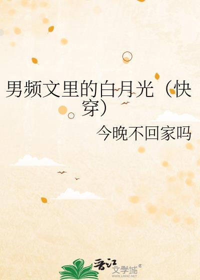 男频文指的是什么