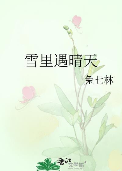 雪里遇晴天讲的什么