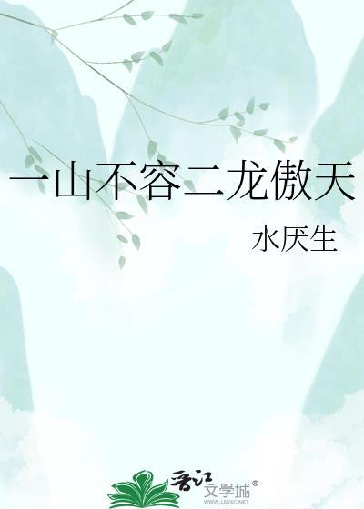 一山不容二龙傲天txt
