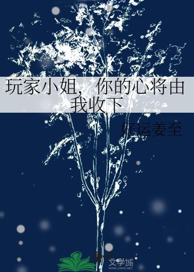 玩家之心