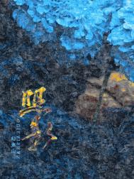 照影医保报销吗