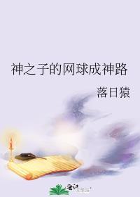 网球王子全国大赛神之子