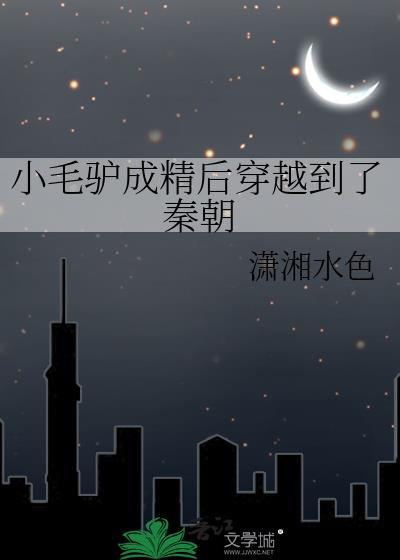 小毛驴子