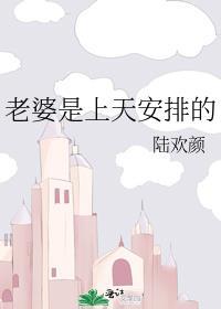 老婆是天简谱