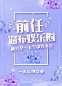 前任遍地走免费阅读
