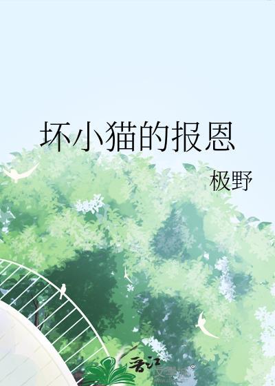 坏猫咪表情包