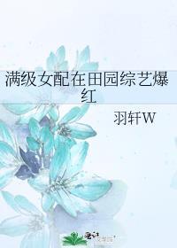 满级女配在田园综艺爆红羽轩W笔趣阁