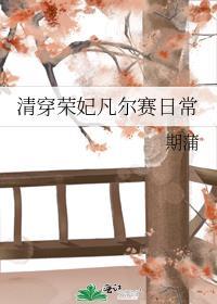 清穿荣妃凡尔赛日常txt