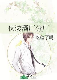 伪装酒厂分厂txt
