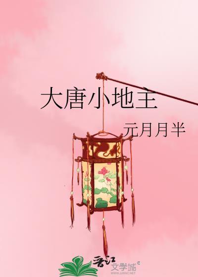 大唐小地主李忘忧苏长卿