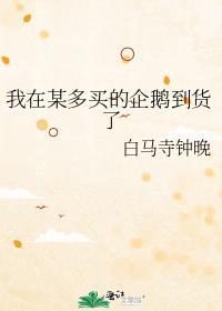 企鹅哪里可以买