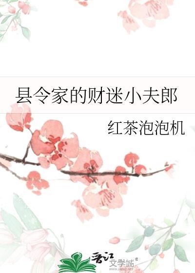 县令家的财迷小夫郎番外