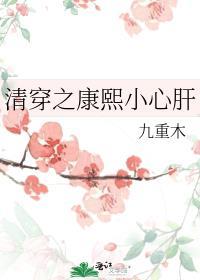 清穿之康熙家的小宠妃免费阅读全文