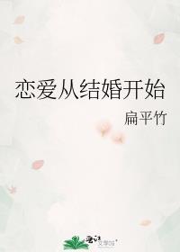 恋爱从结婚开始简介