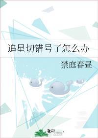 追星id什么意思