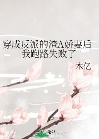 穿成反派渣男大结局