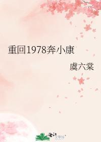 重返1978小白