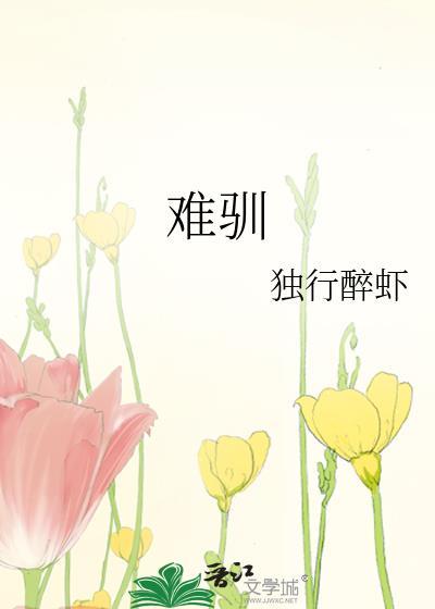 难驯镜片里TXT盘