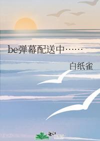 弹幕box