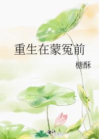 重生在蒙冤前讲的什么