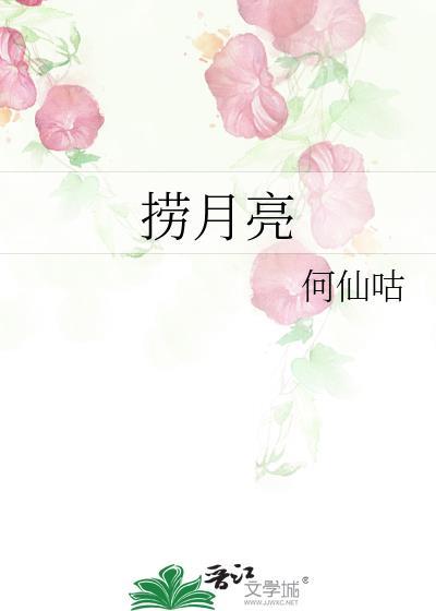 捞月亮歌词