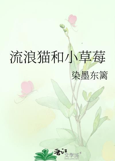 家猫和流浪猫一起玩