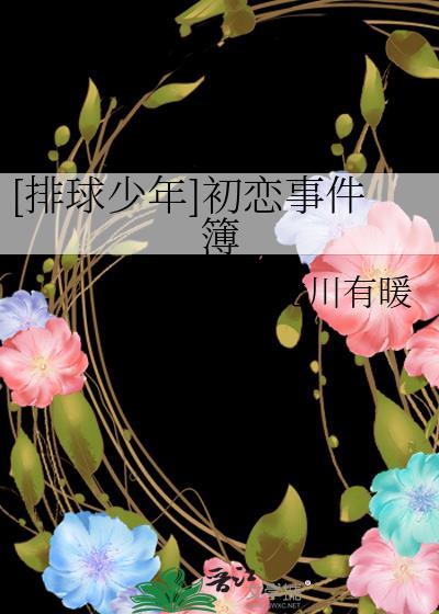 排球少年男主叫什么