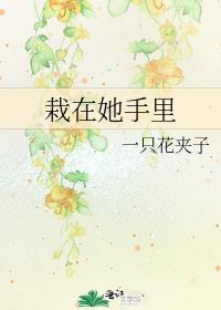 栽在她手里免费阅读