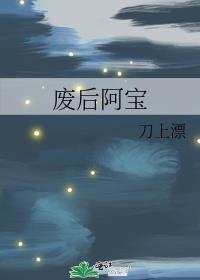 废后阿宝晋江