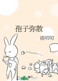 孢子加号