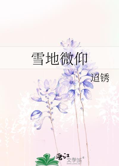 03+雪地