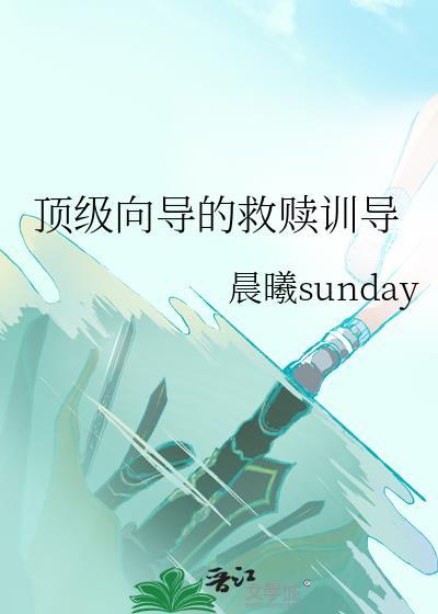 顶级向导的救赎训导完结了吗